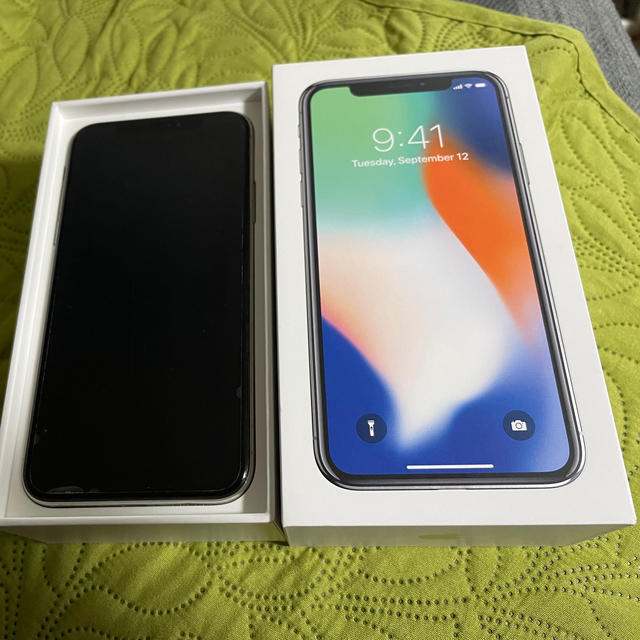 iPhoneX 256GB