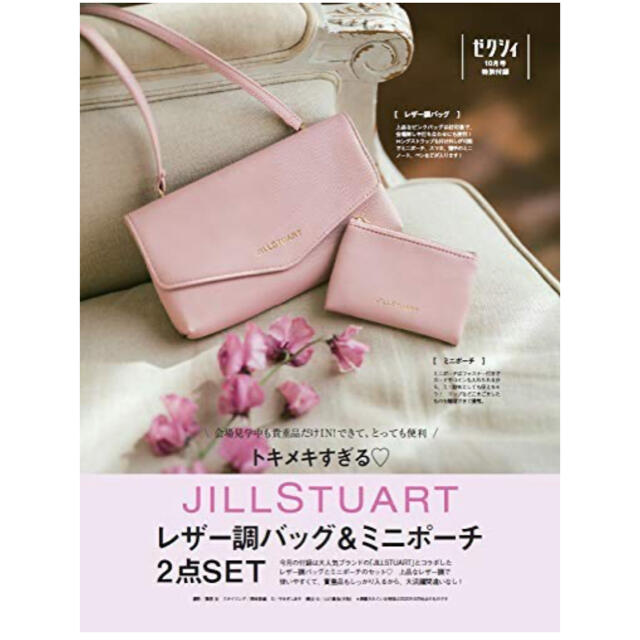 JILLSTUART(ジルスチュアート)の【新品未使用】レザー調バッグ&ミニポーチ【ゼクシィ付録】 レディースのファッション小物(ポーチ)の商品写真