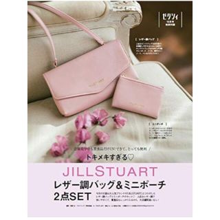 ジルスチュアート(JILLSTUART)の【新品未使用】レザー調バッグ&ミニポーチ【ゼクシィ付録】(ポーチ)