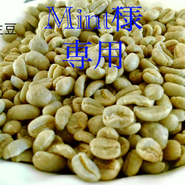 コーヒー生豆　無農薬