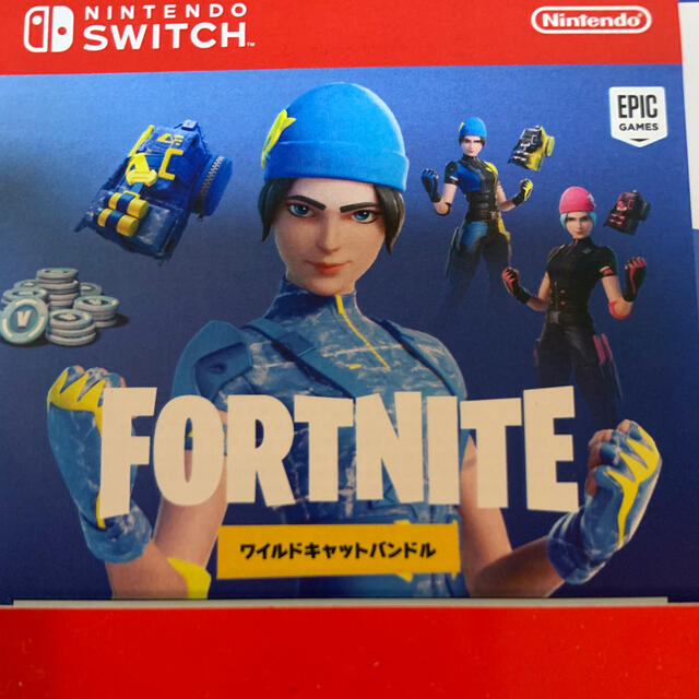 Nintendo Switch Fortnite ワイルドキャット　特典