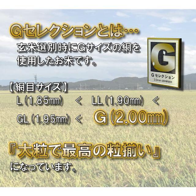 令和２年新米　山形県庄内産　雪若丸　玄米１０ｋｇ　Ｇセレクション　特別栽培米 2