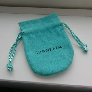 ティファニー(Tiffany & Co.)のTIFFANY&CO. ☆巾着(その他)