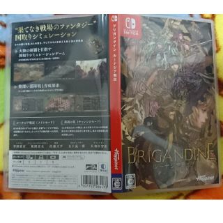 ブリガンダイン ルーナジア戦記 Switch(家庭用ゲームソフト)