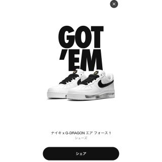 ナイキ(NIKE)のNIKE  G-DRAGON  エアフォース1 パラノイズ 27cm(スニーカー)