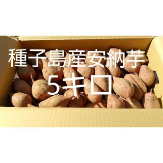 種子島産安納芋5キロ(野菜)