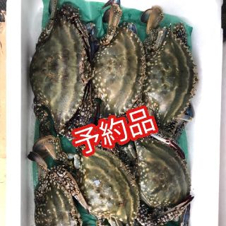 函館水揚げワタリガニ10パイ【Lサイズ】(魚介)