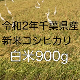 令和2年新米コシヒカリ白米900g(米/穀物)