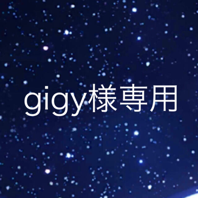 gigy 様　専用 その他のその他(その他)の商品写真