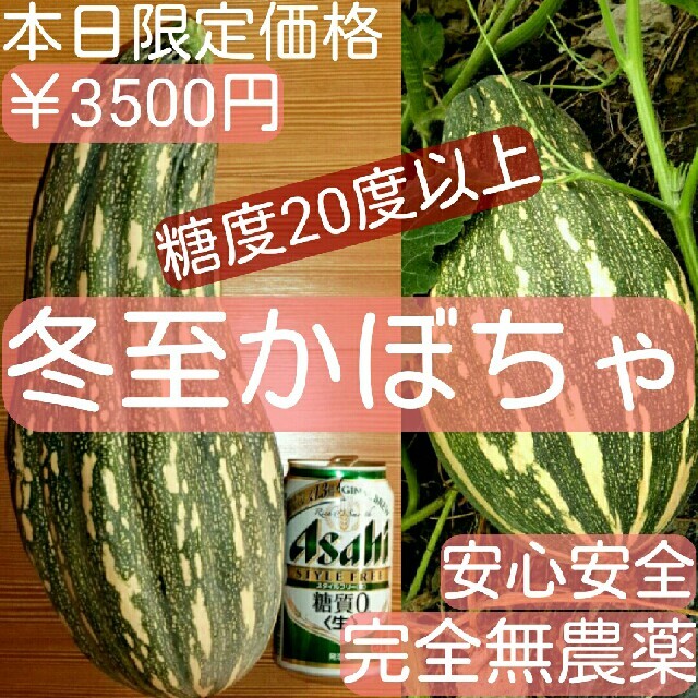 ラスト1点　完全無農薬　とろける美味しさ　冬至かぼちゃ　めちゃ甘　糖度20度以上 食品/飲料/酒の食品(フルーツ)の商品写真