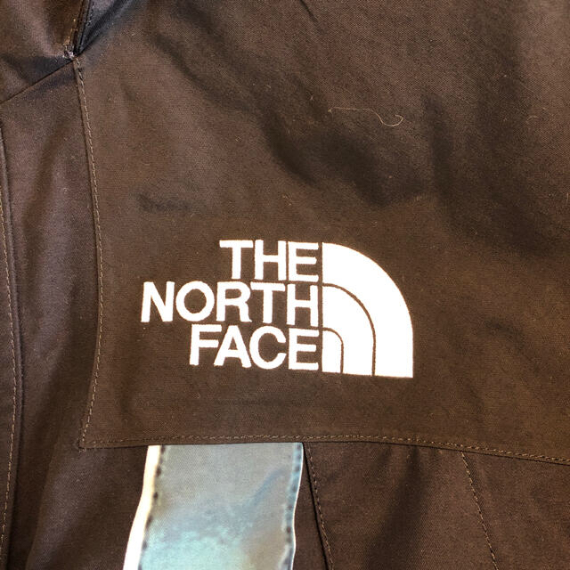 supreme NORTH FACE ノースフェイス 19aw 自由の女神