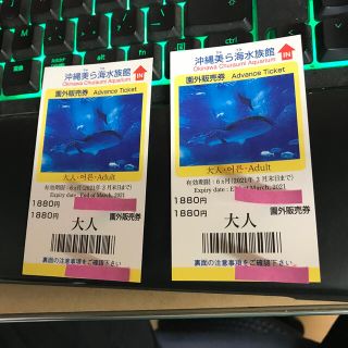 美ら海水族館チケット2枚(水族館)