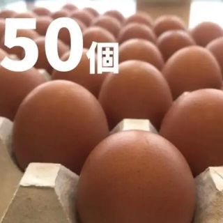 蔵王鶏園の「眠れる森のたまご」(野菜)