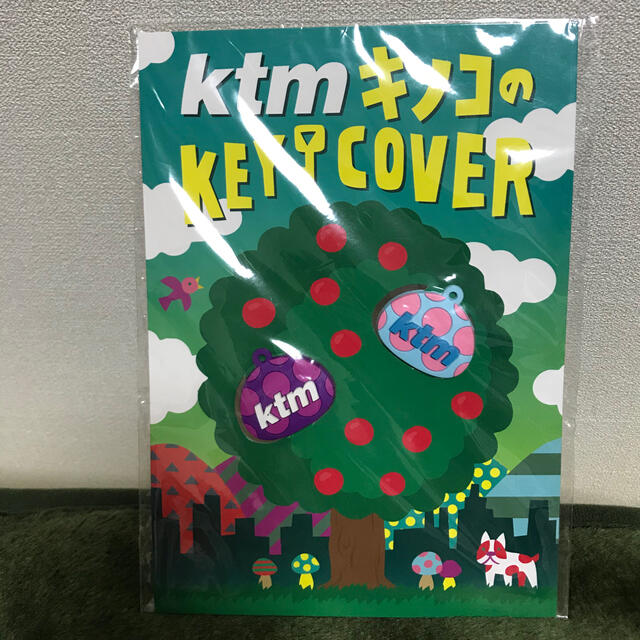 ケツメイシ　KTMキノコのKEYCOVER エンタメ/ホビーのタレントグッズ(ミュージシャン)の商品写真