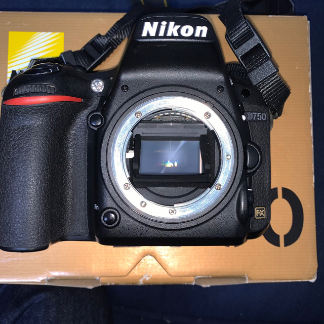 Nikon D750 レンズキット 予備バッテリー2個 SDカード64GB1枚