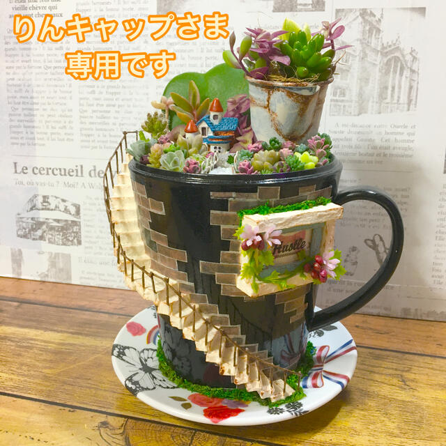 多肉植物の寄せ植え　妖精の庭(coffee cup) ハンドメイドのフラワー/ガーデン(その他)の商品写真
