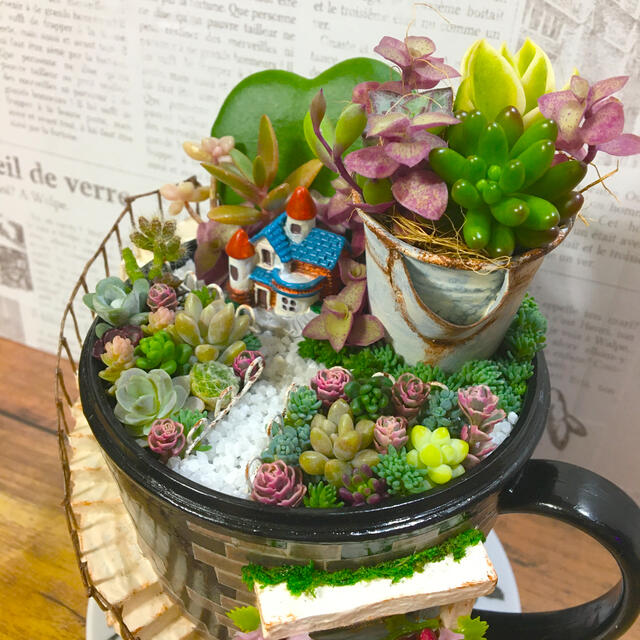 多肉植物の寄せ植え　妖精の庭(coffee cup) ハンドメイドのフラワー/ガーデン(その他)の商品写真