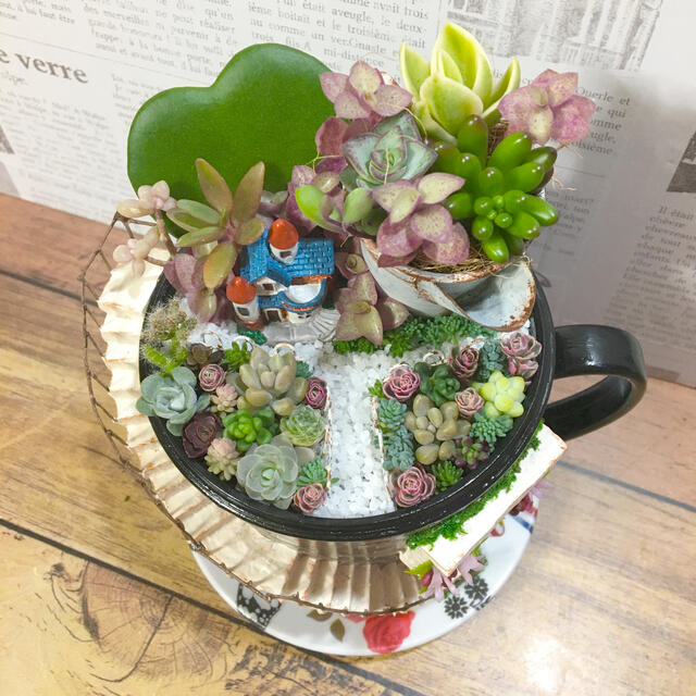 多肉植物の寄せ植え　妖精の庭(coffee cup) ハンドメイドのフラワー/ガーデン(その他)の商品写真