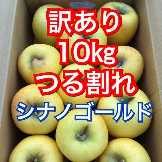 【送料込】訳あり葉とらずりんご シナノゴールド 約10kg(フルーツ)