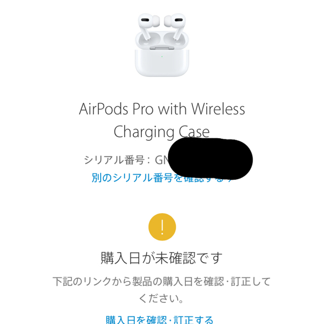 Apple(アップル)のAirPods Pro MWP22J/A エアポッズ プロ　国内正規品 スマホ/家電/カメラのオーディオ機器(ヘッドフォン/イヤフォン)の商品写真