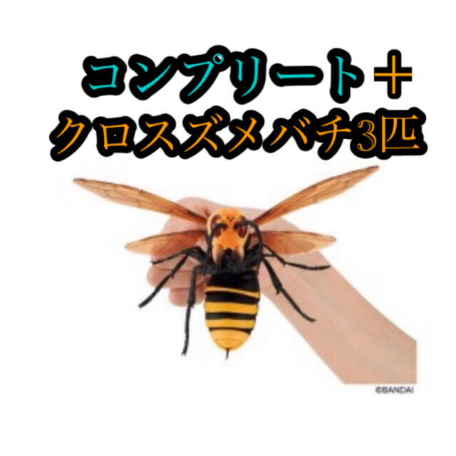 【驚きの価格が実現!】
BANDAI - BANDAI オオスズメバチ コンプリート+3匹 6個セット ガチャ 模型+プラモデル 【驚きの価格が実現!】
BANDAI - BANDAI オオスズメバチ コンプリート+3匹 6個セット ガチャ 模型+プラモデル