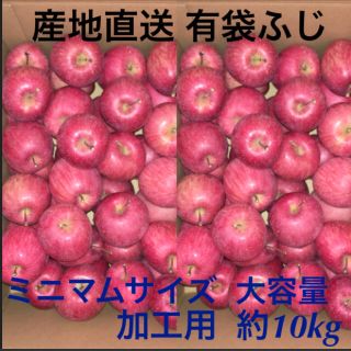 加工用 有袋ふじ 青森県産 りんご 訳あり 産地直送(フルーツ)