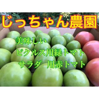 トマト とまと 青トマト 漬物 ピクルス(野菜)