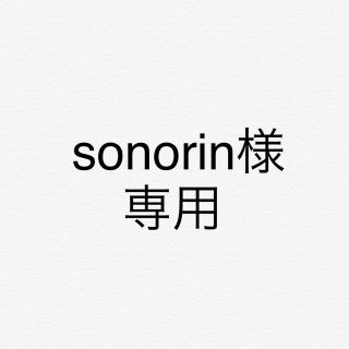 デサント(DESCENTE)のsonorin様専用(ウエア)