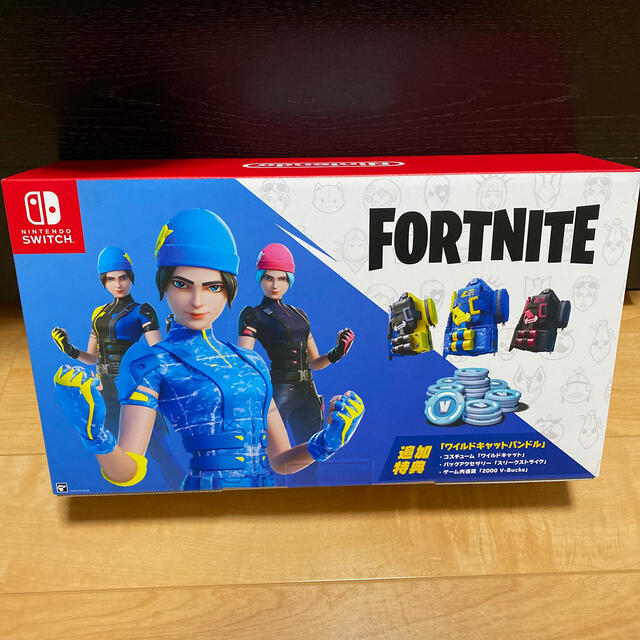 Nintendo Switch Fortnite 本体 特典コード無し