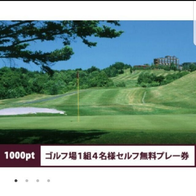 シャトレーゼ　ゴルフ　セルフ無料プレー チケットの施設利用券(ゴルフ場)の商品写真