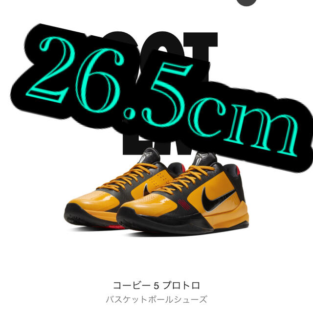 265コービーNike Kobe 5 Protro Bruce Lee 26.5