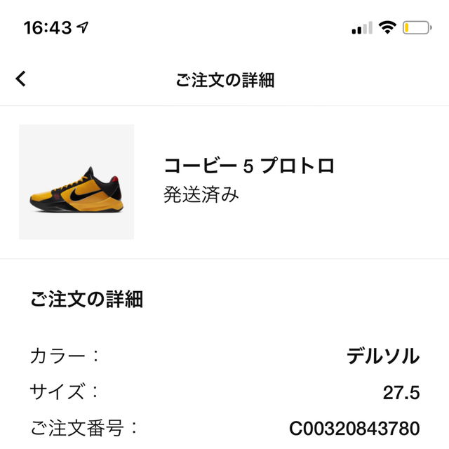 Nike Kobe 5 Protro Bruce Lee