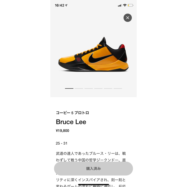 Nike Kobe 5 Protro Bruce Lee