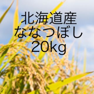 ななつぼし　20kg (米/穀物)