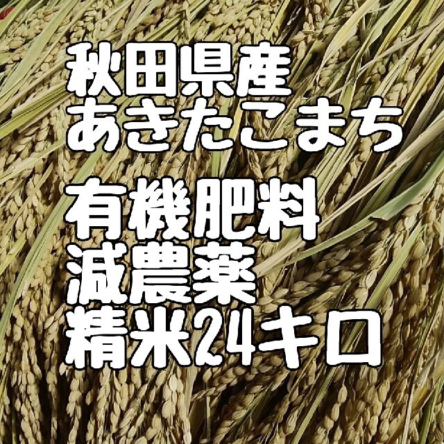 ☆きょうちゃん　MAMA☆様専用 食品/飲料/酒の食品(米/穀物)の商品写真