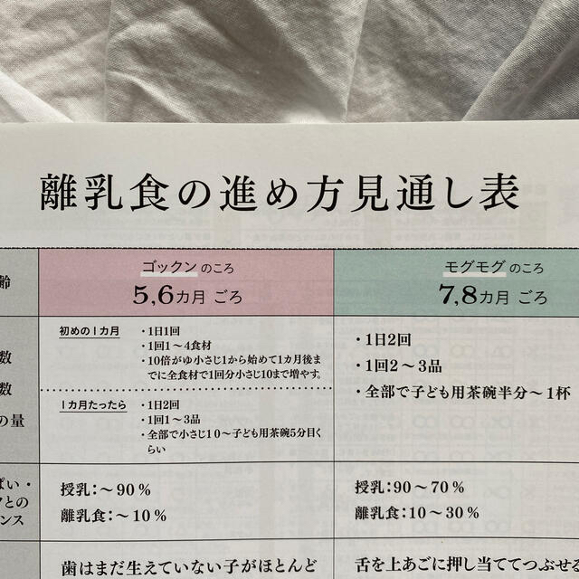 フリージング離乳食 エンタメ/ホビーの雑誌(結婚/出産/子育て)の商品写真