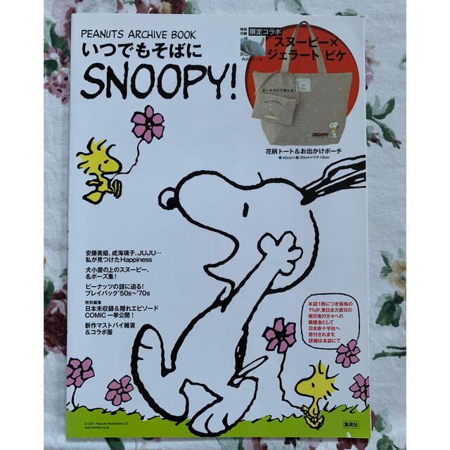 SNOOPY(スヌーピー)のスヌーピー　アーカイブブック エンタメ/ホビーの雑誌(アート/エンタメ/ホビー)の商品写真