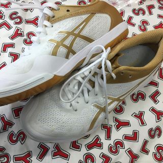 アシックス(asics)の新品 asics 24.0cm 体育館シューズ 11/27 ♩32(スニーカー)