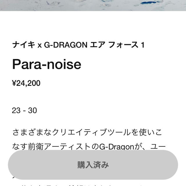 NIKE×G-DRAGON AIR FORCE 1 PARANOISE 28cm靴/シューズ