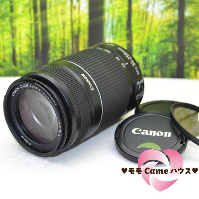 キャノン望遠レンズ★EF-S 55-250mm手ブレ補正つき☆1316-1