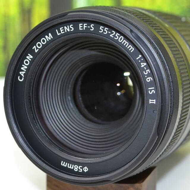 キャノン望遠レンズ★EF-S 55-250mm手ブレ補正つき☆1316-1