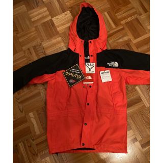 ザノースフェイス(THE NORTH FACE)のTHE NORTH FACE Mountain Light Jacket (マウンテンパーカー)