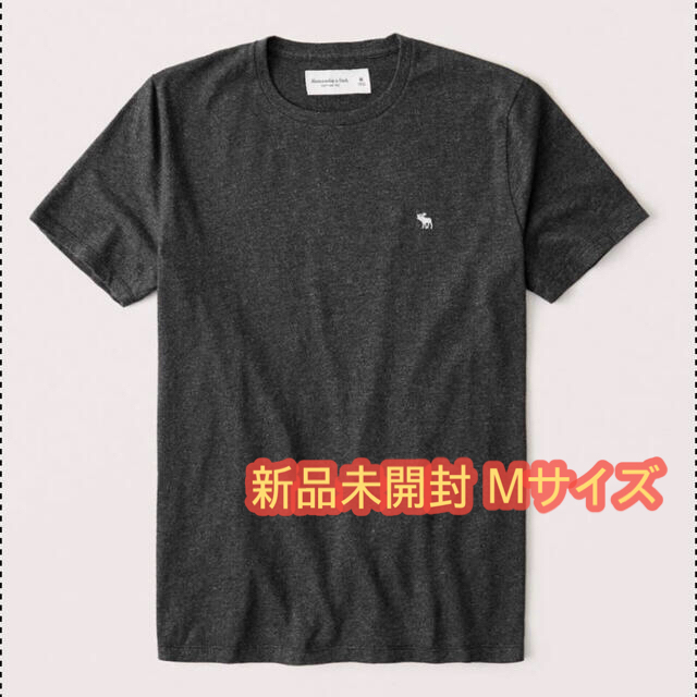 Abercrombie&Fitch(アバクロンビーアンドフィッチ)の【専用】Abercrombie&Fitch テクスチャーアイコンTシャツ 新品 メンズのトップス(Tシャツ/カットソー(半袖/袖なし))の商品写真