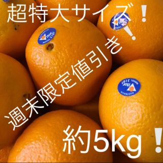 ネーブルオレンジ   超特大サイズ　約5kg(フルーツ)