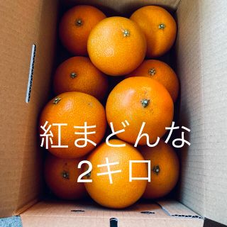 大好評!!紅まどんな愛媛県宇和島産 2キロ(フルーツ)