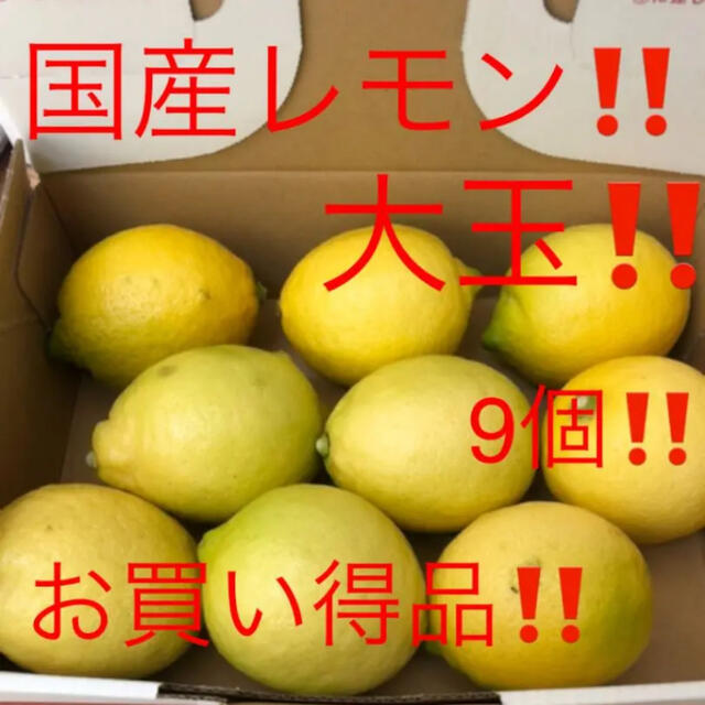 国産　無農薬広島レモン　大玉9個 1.2kg越え 食品/飲料/酒の食品(フルーツ)の商品写真