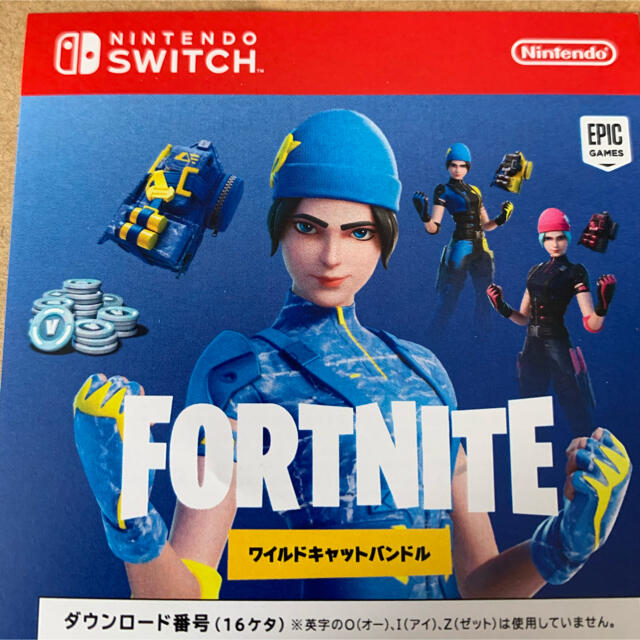 Nintendo Switch フォートナイト　ワイルドキャットバンドルのみ