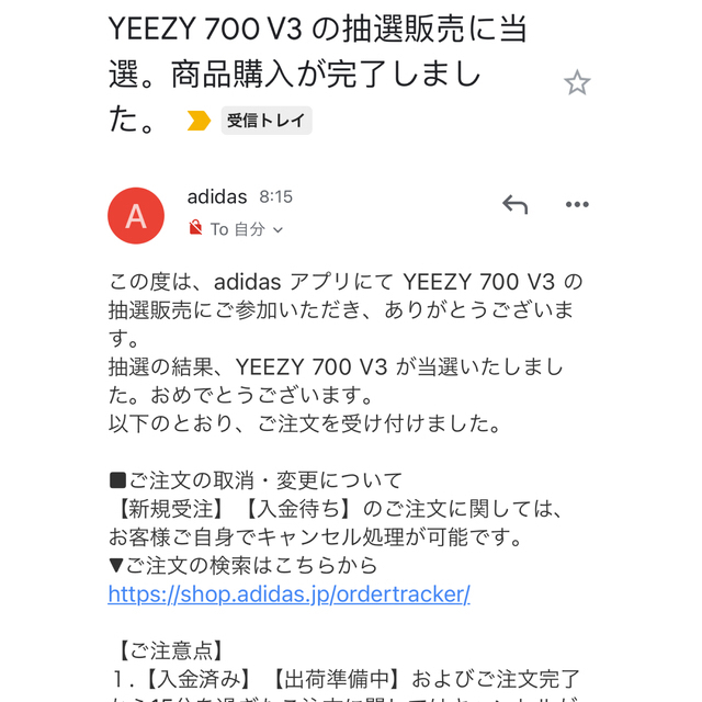 adidas(アディダス)のyeezy 700 v3  29cm 新品 メンズの靴/シューズ(スニーカー)の商品写真