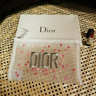 クリスチャンディオール(Christian Dior)のクリスチャンディオールポーチリップ付き(ポーチ)