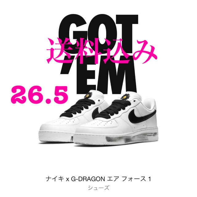 NIKE(ナイキ)のNIKE AIR FORCE 1 PARANOISE 送料込み！ メンズの靴/シューズ(スニーカー)の商品写真